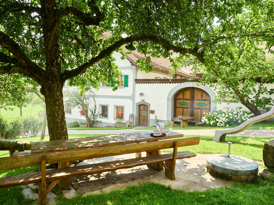 Im Hintergrund ist das schöne Bauernhaus mit Holztor und Tür zu sehen. Ganz groß ist der Apfelbaum mit seiner ausladenden Krone präsent, der sein großes Blätterdach über den langen Holzgartentisch ausbreitet.