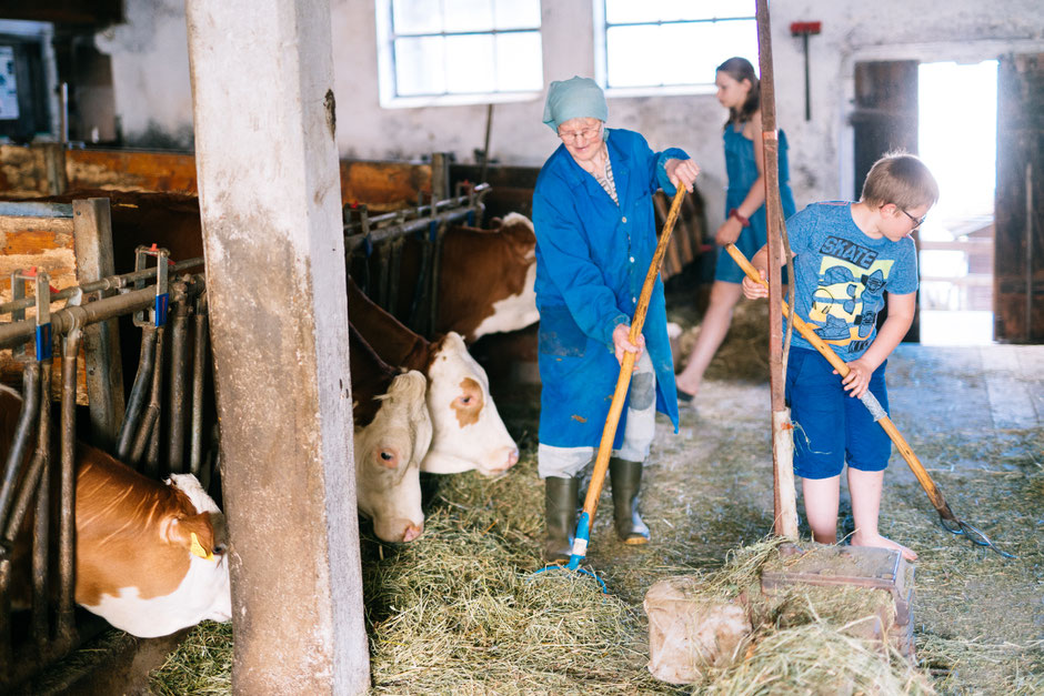 Oma Zille mit zwei Kindern beim Kühe füttern am Biobauernhof Stadler