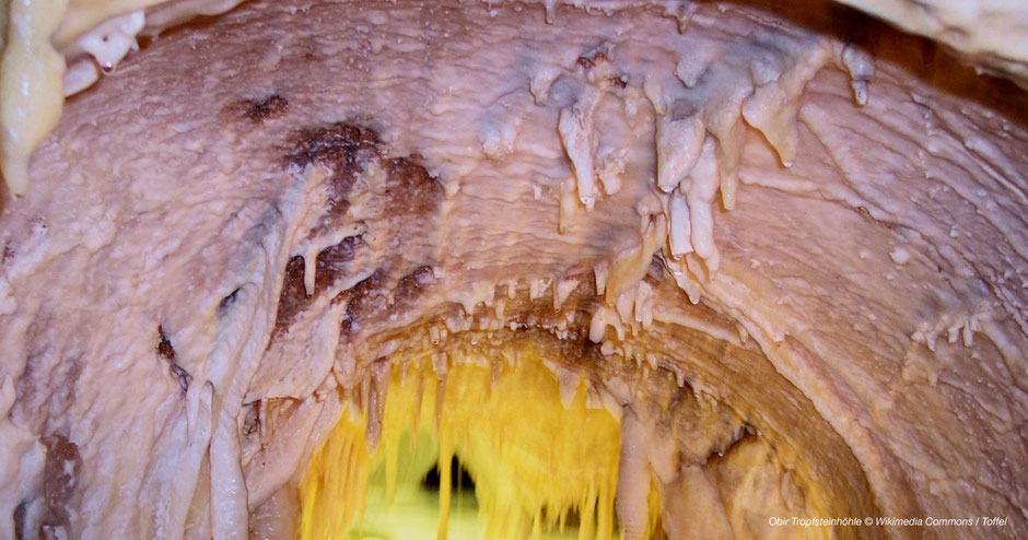 Obir-Tropfsteinhöhlen, Alpenjuwele, Juwele, Reisegruppen, Gruppenreisen, Jugendreisen, Jugendgruppen, Seniorengruppen, 50plus, Wandern, Einkehren, Bergjuwele, Höhle, Schauhöhle, Fotospots, Fotomotive, Südkärnten, Eisenkappel, Hochobir, Obir, Klopeinersee