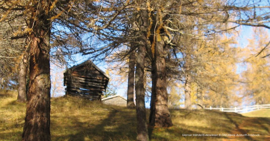 Wandern zu den Eulenwiesen & Gleinser Mähder - Hiking to Maria Waldrast-Wipptal