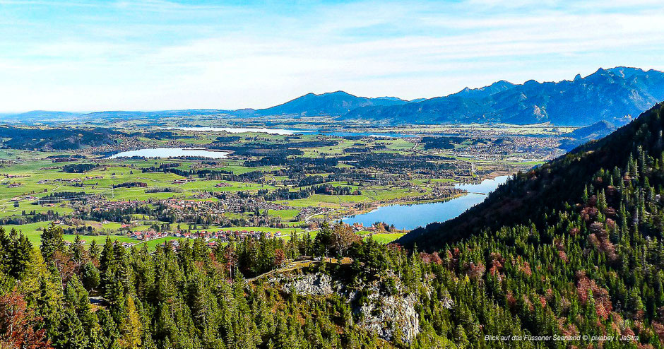 Füssener Seenwelt, Füssen, Seen, Allgäu, Seenland, Alpenseen, Kühe, Gescheckerte Kuh, Braunvieh, Wiese mit See und Bergen, Fotomotive, Neuschwanstein, Ostallgäu, Pfronten, Außerfern, Tirol, Graslandschaft, Viehwirtschaft, Grenze Bayern-Österreich