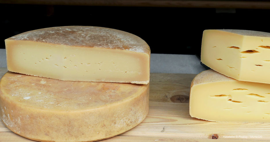 Käselaib, Käsesennereien, Allgäu, Käse im Allgäu, Käse, Alpkäse, Bergkäse, Alpenjuwele, Diepolz, Gunzesried, Weitnau, Picknick, Überblick, Allgäuer Alpen, Käsefoto, Käsemotiv, Fotospots, Tipps, Käsewerbung, Beispiel für Käse, Spezialitäten, Spezialität