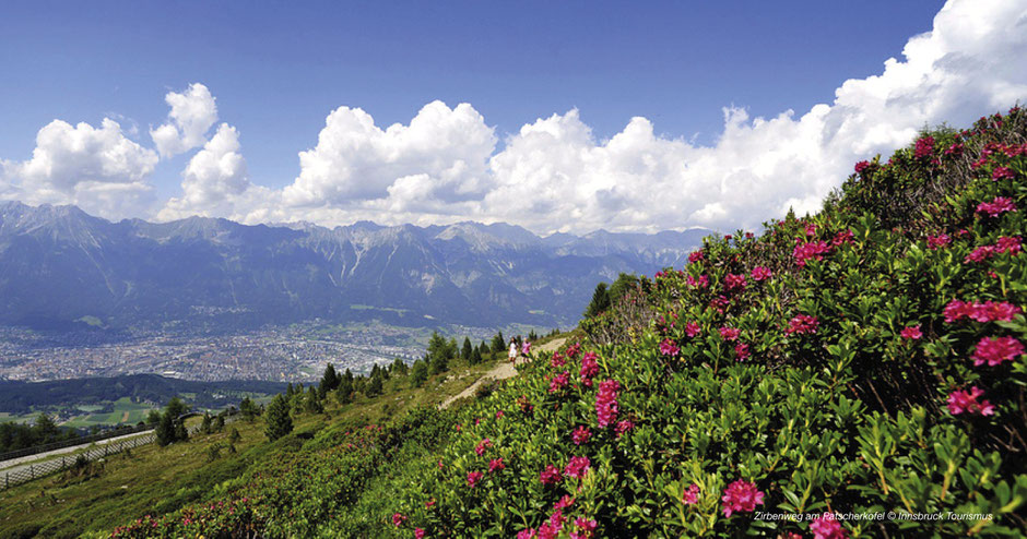 Innsbruck, Panoramaweg, Inntalblick, Zirbenweg, Wanderung Patscherkofel, Themenweg Innsbruck, Patscherkofel, Inntal, Sommer, Wolken, Tirol, Karwendelblick, Seegrubenblick, Hafelekarblick, Wipptal, Igls, Maria Heiligwasser, Aldranser Alm, Glungezer