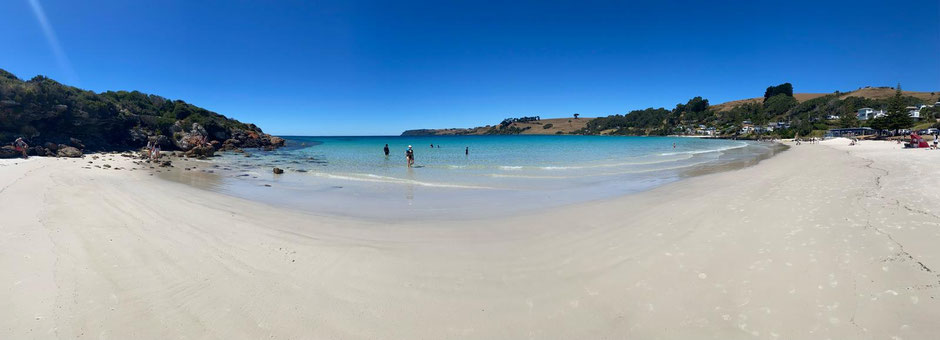 Boat Harbour Beach Tasmanien. Einer der schönsten Stränden in Tasmanien mit kristallklarem Wasser.