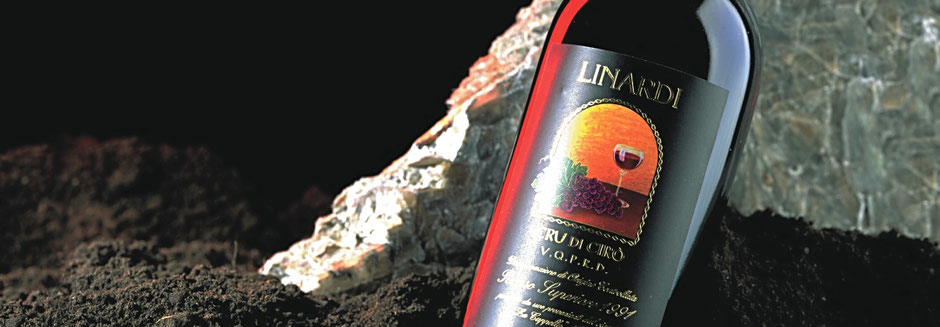 Lo shop on-line di Linardi Wines