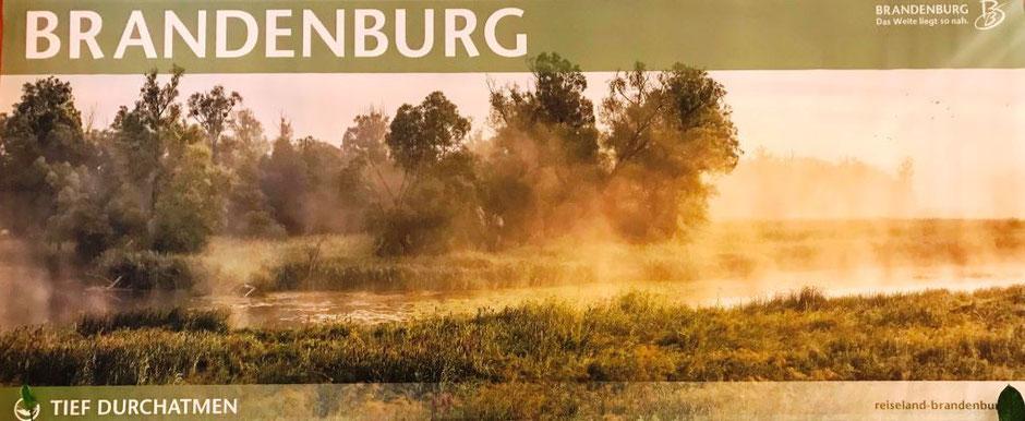 Plakat der TMB mit dem Motto: Brandenburg. Das Weite liegt so nah. Tief durchatmen. Zu sehen ist eine brandenburgische Landschaft im Frühnebel.
