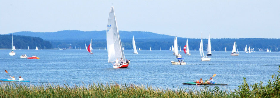 Segelboote auf dem Scharmützelsee