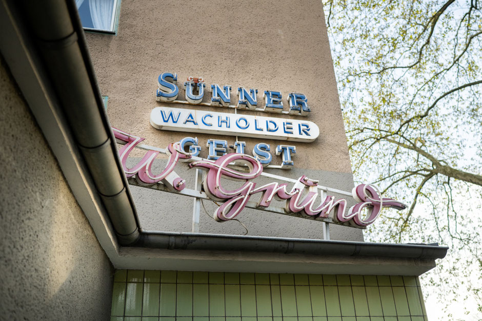 Hallo Frühlingswald, Köln, das Foto der Woche, Fotografie Joachim Rieger