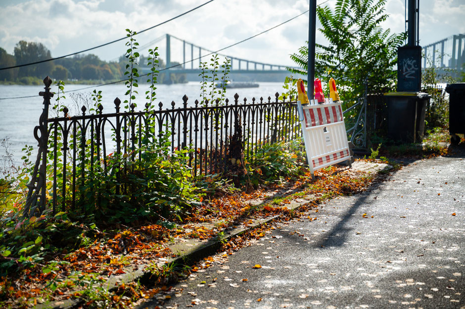 Köln, Bayenthal, das Foto der Woche, Fotografie Joachim Rieger