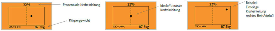 Vibrationsplatten Galileo, Smart Sense, Vertrieb, Preise, Tests, Smart Coaching: www.kaiserpower.com