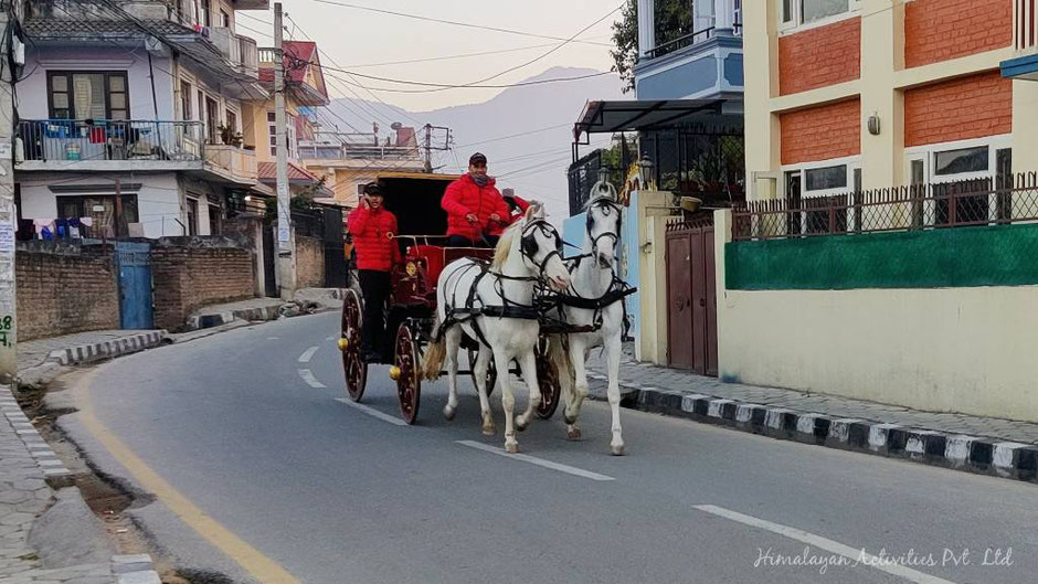 カトマンズ市内を走る、結婚式で使われる馬車