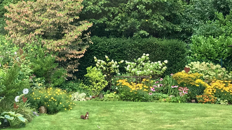 Eichhörnchen im Garten