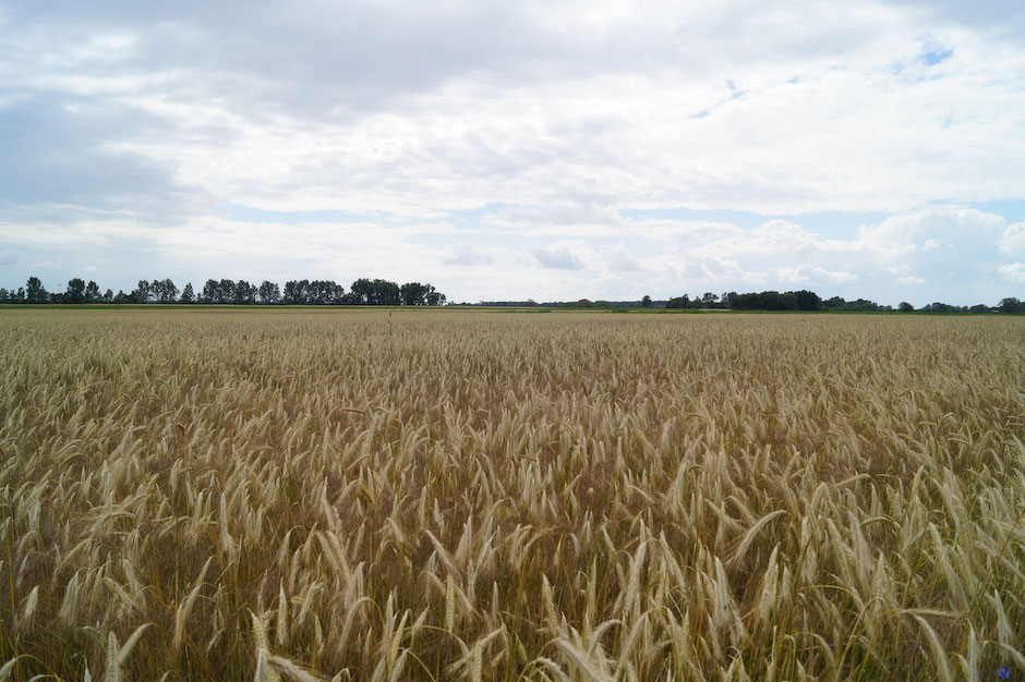 An der Havel lang