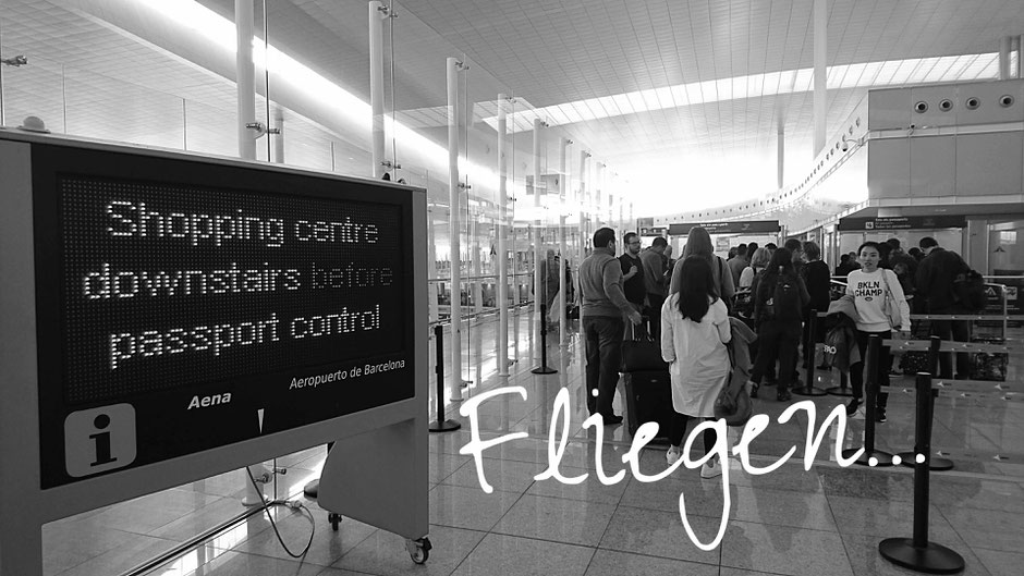 Fliegen heißt auch warten