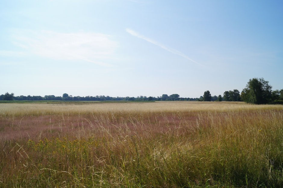 An der Havel lang