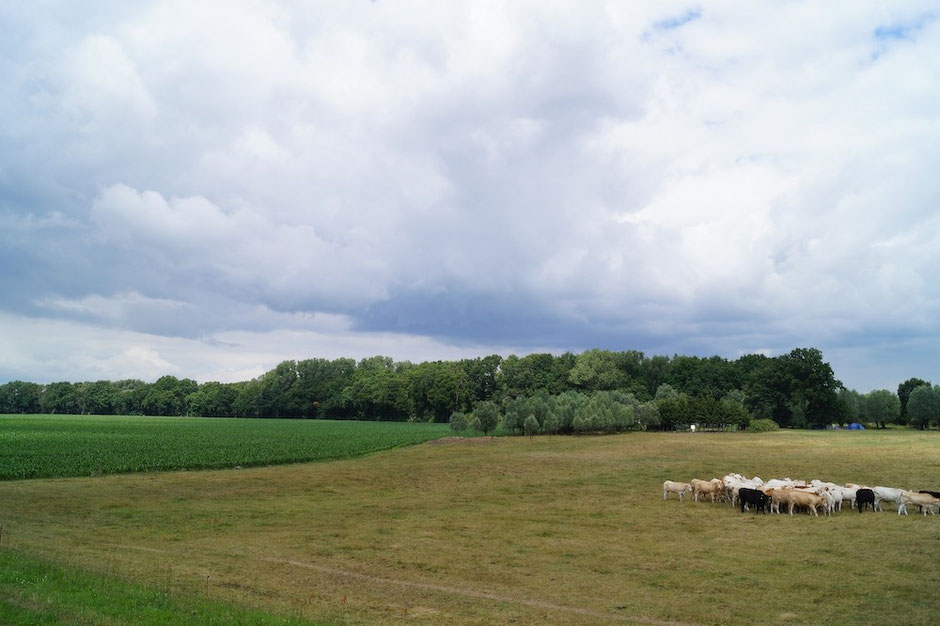 An der Havel lang