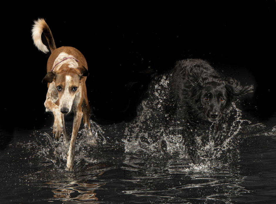 Demnächst im Angebot: Indoor Wasserfotoshooting