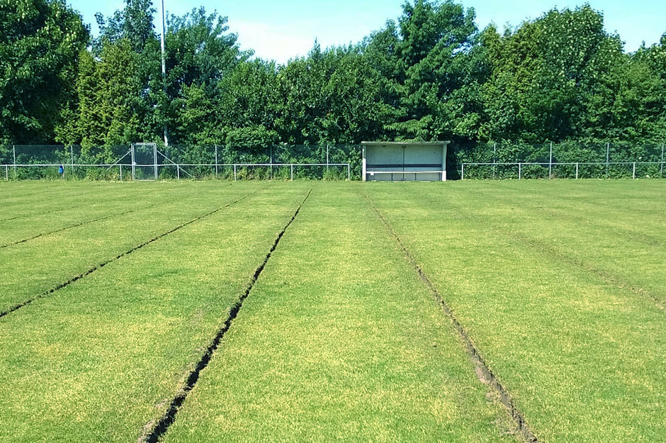 Das Bild zeigt ein Fußballfeld mit frisch gezogenen Drainageschlitzen. Die Drainageschlitze sind ca. 10 cm breit und wurden ungefähr alle 5 m in das Spielfeld eingezogen.