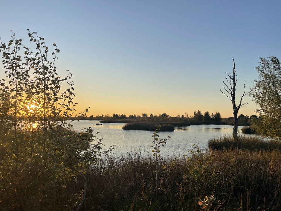 Dwingelderveld bij avond