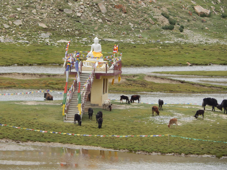 Retraite yoga, méditation et rencontres spirituelles au Ladakh avec JYOTI-YOGI