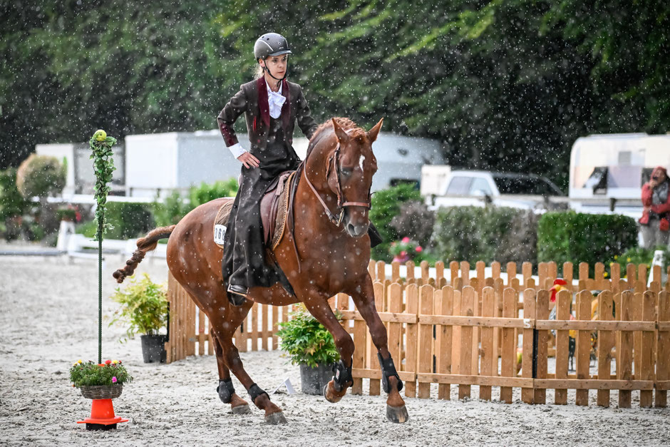 Hortelano am Working Equitation Turnier in Grüningen. Foto Katja Stuppia