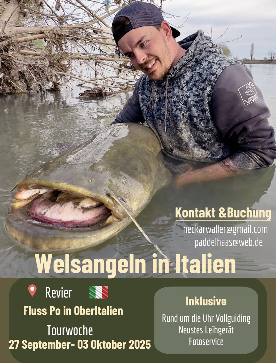 Welsguiding mit Peter Merkel in Italien am Fluss Po