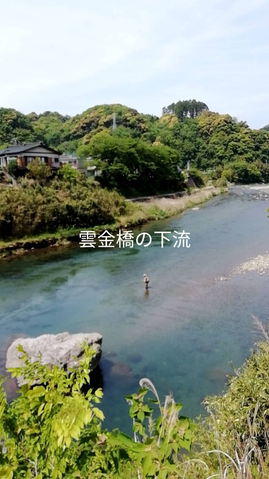 【中古】 南西伊豆と狩野川の釣り場 改訂新版/全国観光と物産新聞社/ガイド出版社 中古】 南西伊豆と狩野川の釣り場 改訂新版/全国観光と物産新聞社/