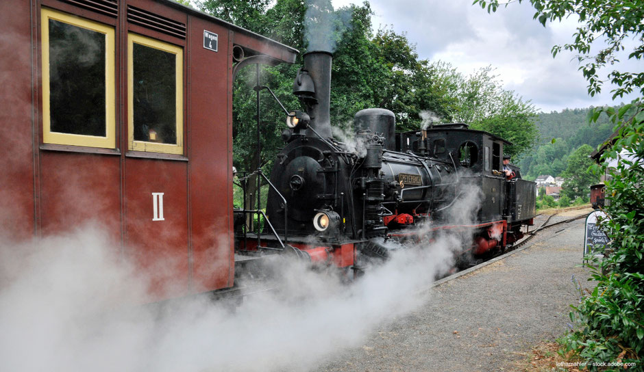 Kuckucksbahn in Elmstein