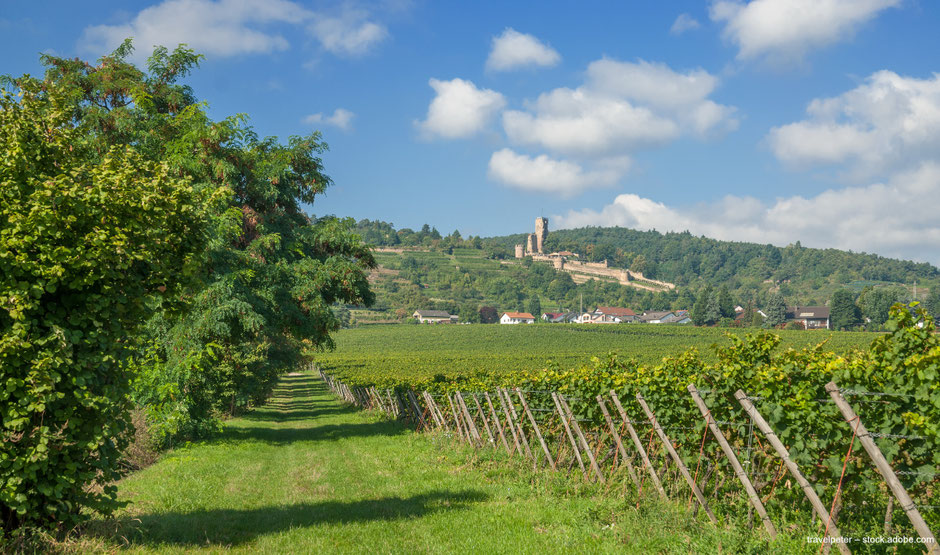 Burg- und Weinfest in Wachenheim