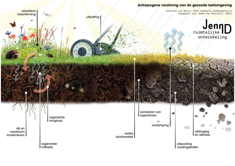 Antropogene verstoring van de gezonde leefomgeving, J. van Noort 2024