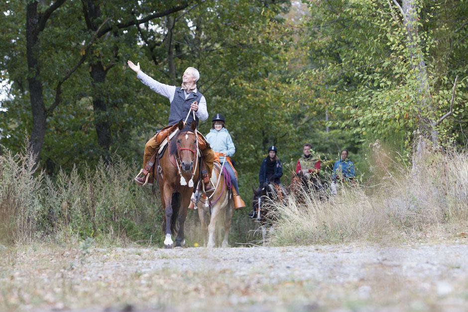 Reiten in der Eifel