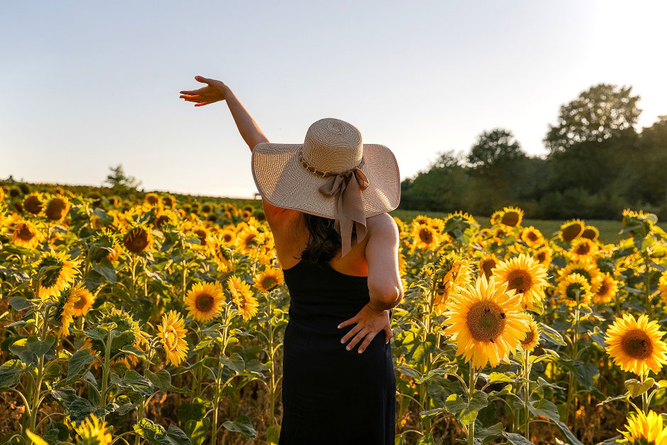 immersion privée de 8 semaines conçue pour vous accompagner dans une renaissance consciente