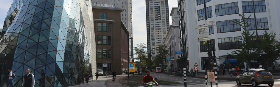 Website bouwer Eindhoven