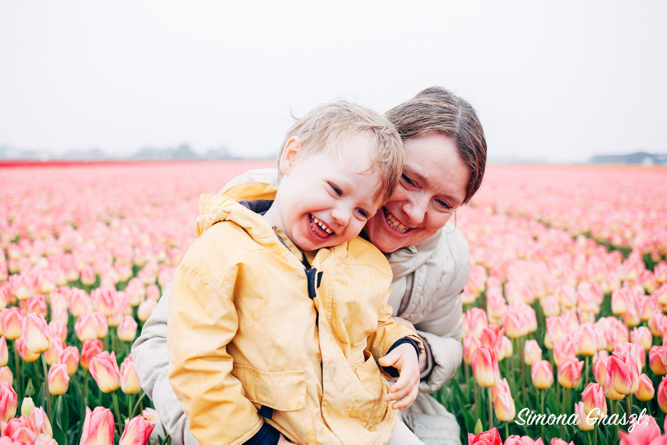 Netherlands Lisse flower field shoot