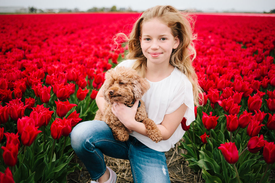 red tulips puppy girl Voorhout