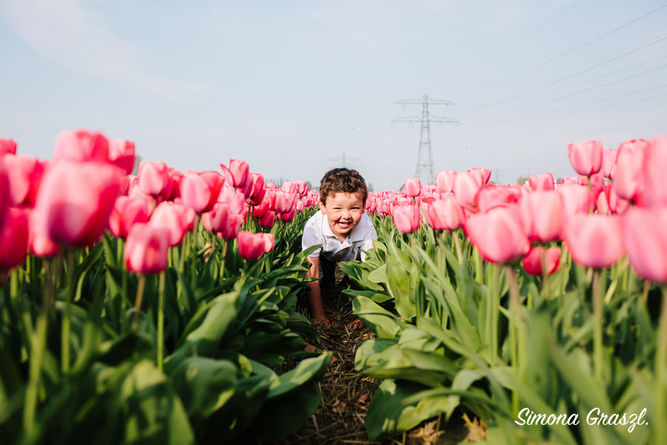 happy boy pink tulips Voorhout