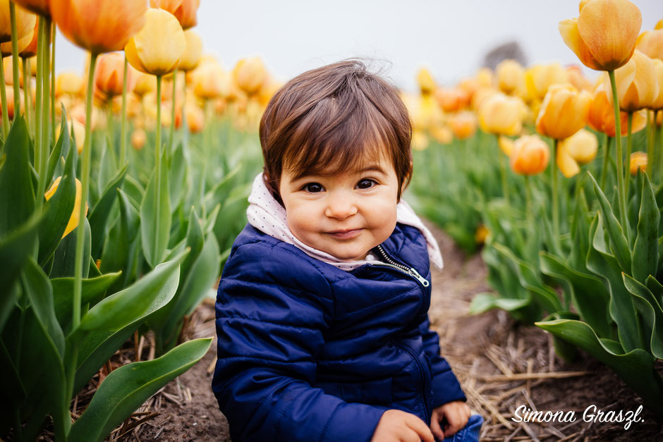 yellow tulips Lisse photography baby