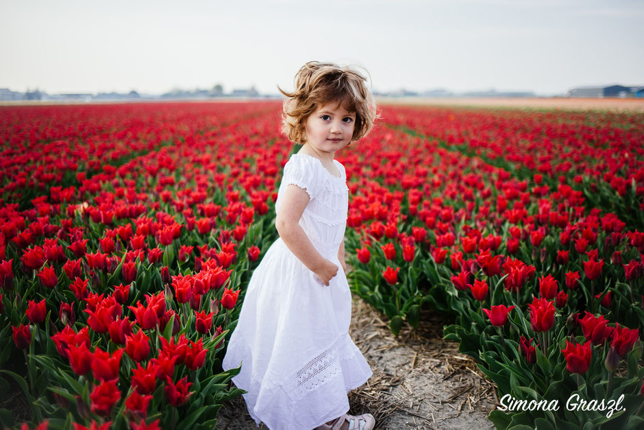 red tulips girl laughing Voorhout