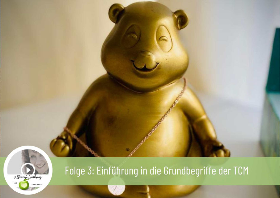 Kleine Einführung in die Grundbegriffe der TCM. Podcast.
