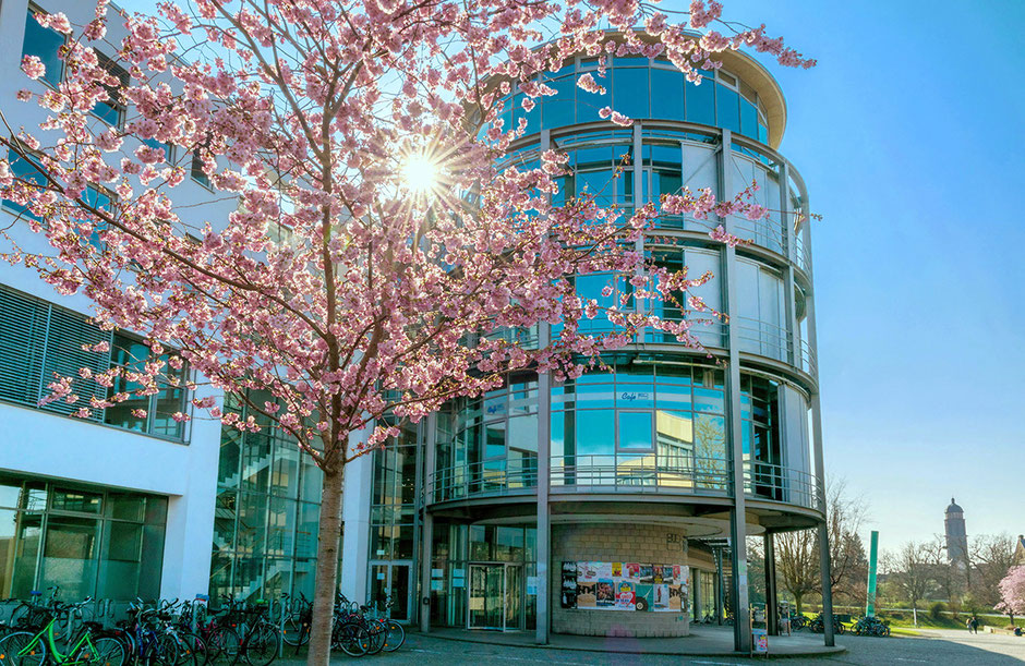 Die Georg-August-Universität Göttingen von außen