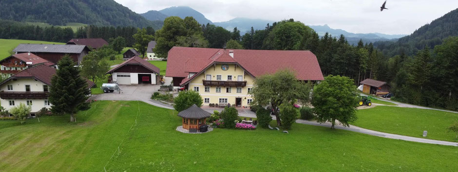 Bauernhof Vordergschwandtgut