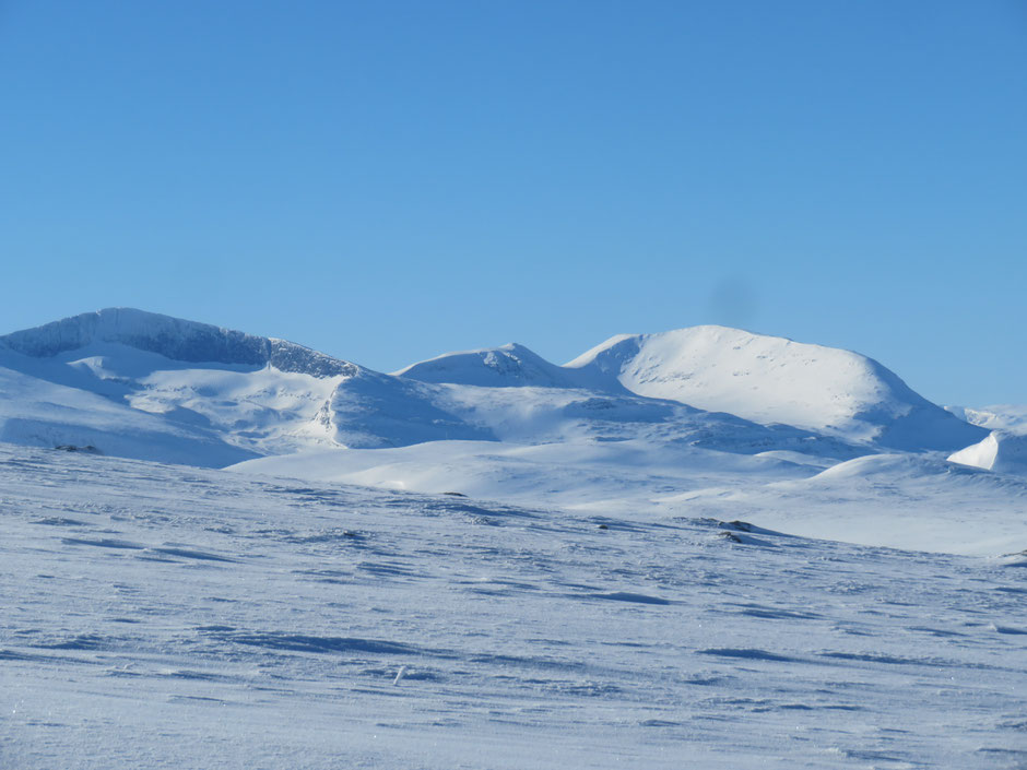 Helags Husky : der Helags Gletscher