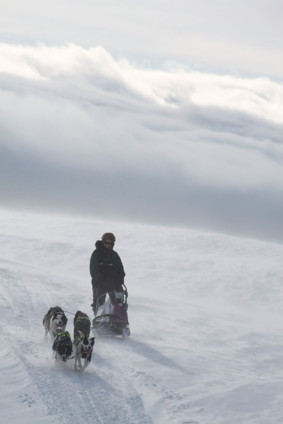 Helags Husky : Mit  nur  einem  Teilnehmer  auf  Schlittentour