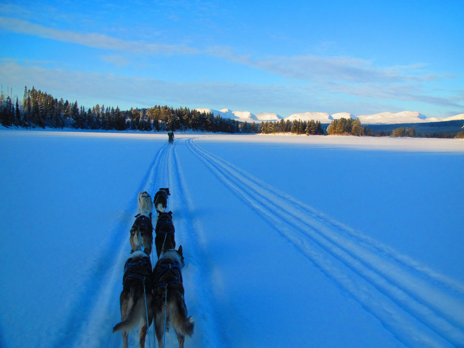 Helags Husky : Auf dem See