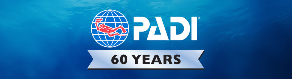 REMISE A NIVEAU plongée à PARIS. ReActivate Padi refresh avec Plongévasion