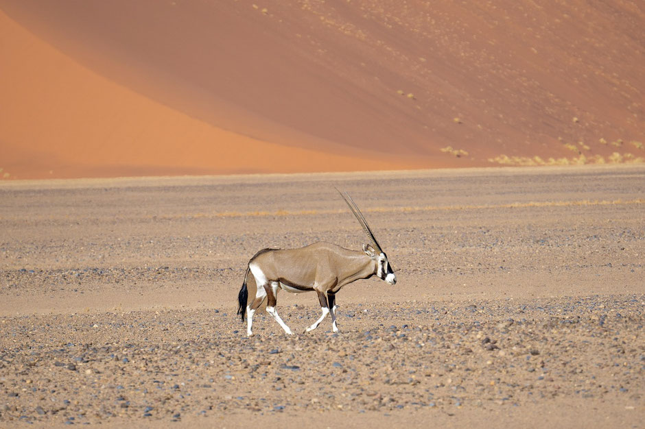 Namibia Sossusvlei Blog Hidden Vlei
