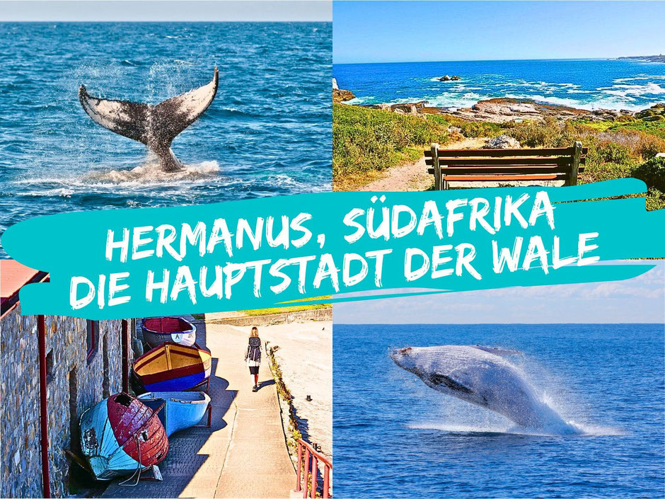 Hermanus: Sehenswürdigkeiten, Geheimtipps & Whale Watching