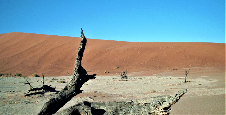 Namibia Sossusvlei Erfahrungen Deadvlei