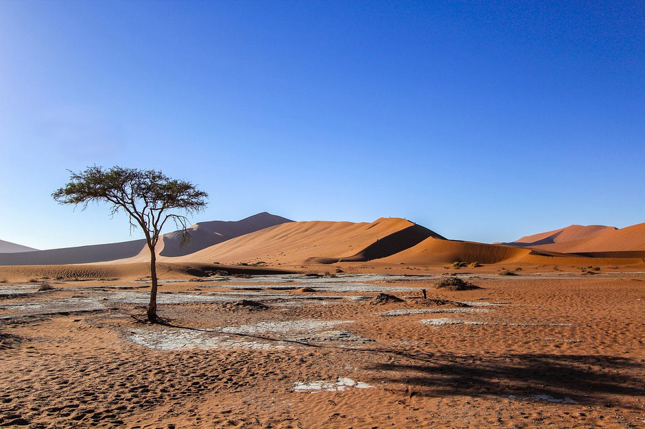 Namibia Sossusvlei Erfahrungen Deadvlei