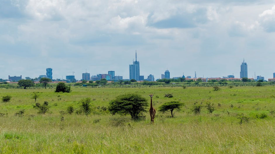 Top Kenia Nationalparks Lodges Nairobi Nationalpark